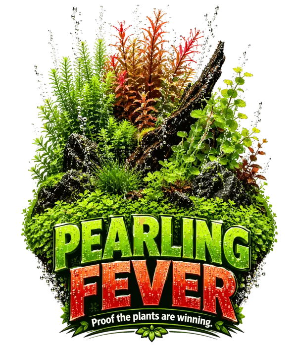 Pearling Fever