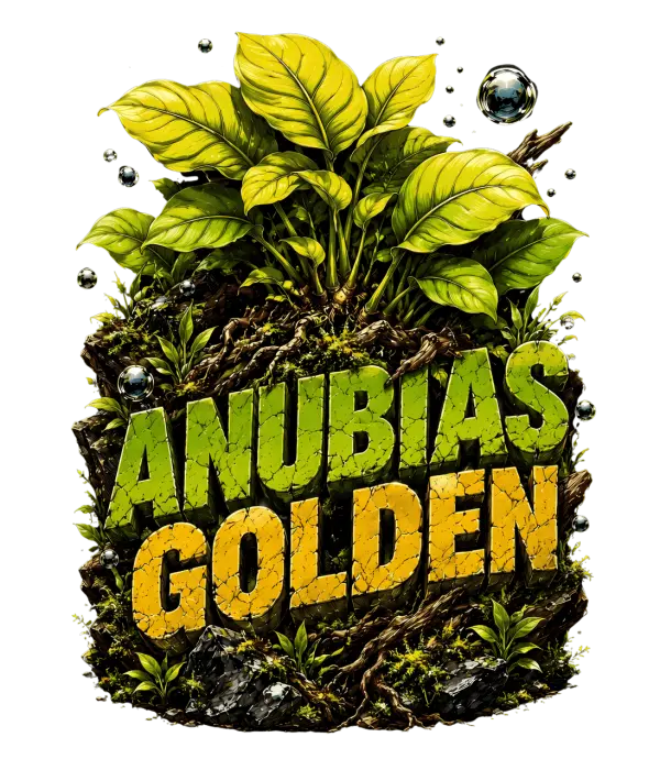 Anubias Golden