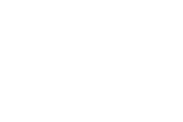 Elusive Typography — Light Edition
