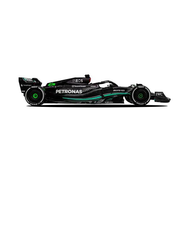 Mercedes W11 Blueprint - Black